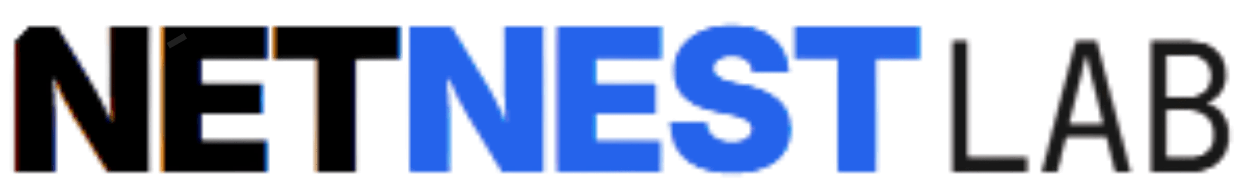 NetSte-Labor-Logo